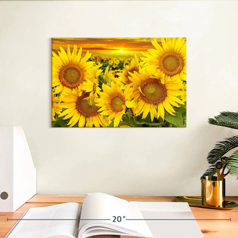 Harnek tournesol coucher de soleil horizon, H 8 po x l 12 po