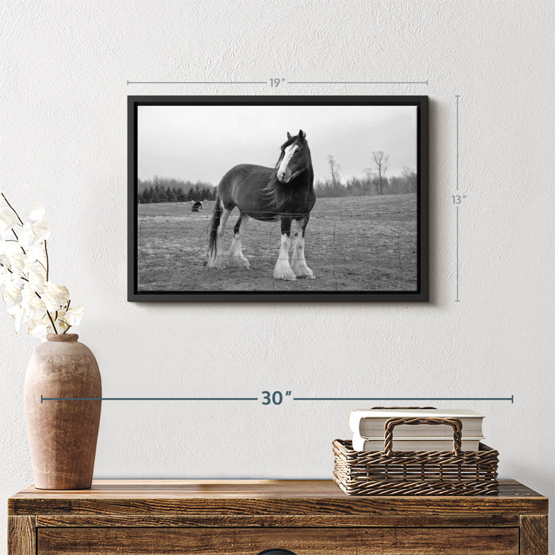 " Monochrome Clydesdale Horse ", 19" H x 13" W
