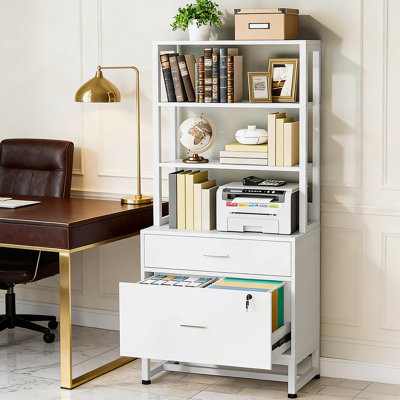 Ample Storage File Cabinet,2-Drawer Cabinet,Sturdy Filing Cabinet