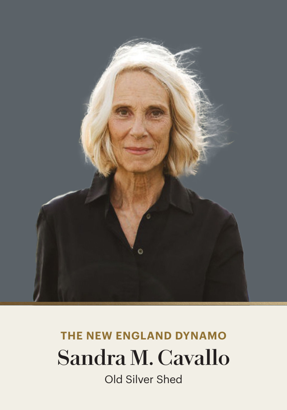 The New England Dynamo Sandra M. Cavallo Old Silver Shed
