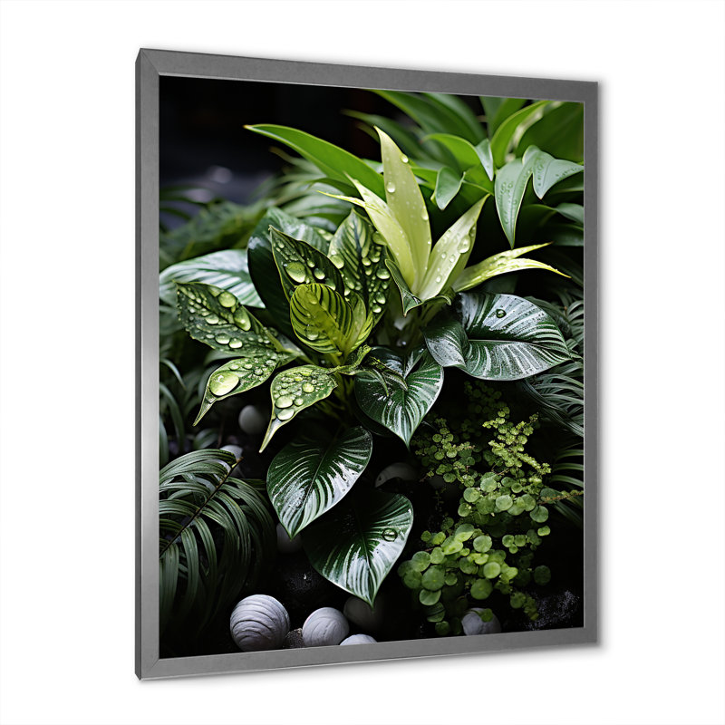 Plantes Botanical Oasis - reproduction d'art sur toile florale, H 20 po x l 12 po x P 1 po, Cadre photo argenté