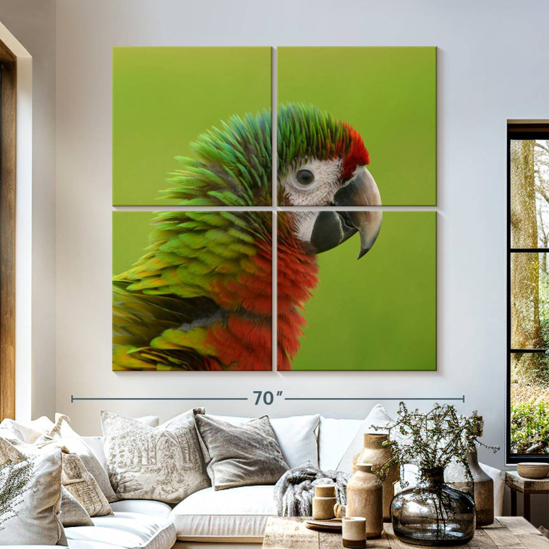 Brampt Macaw Bird Head, 57" H x 57" W