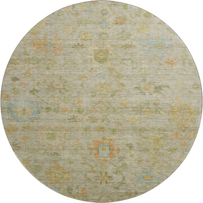 Premium Machine Washable Mayfield AMF1930 Global Rug