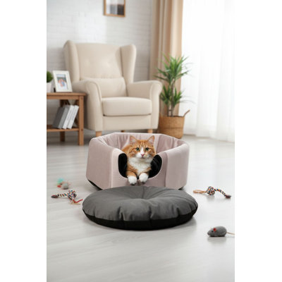 Lit pour chat