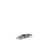 Brushed Nickel is out of stock selected