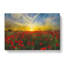 Field Of Poppies Vol.3 - Wrapped Canvas-61876892