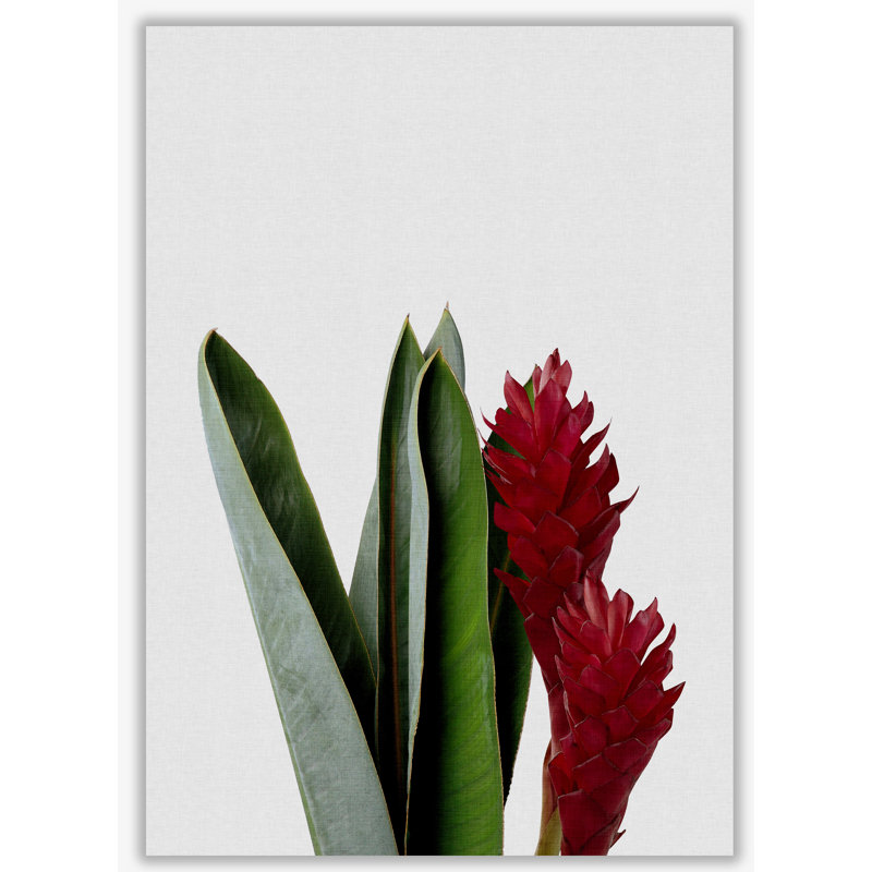 Red Flower - Print, No Frame, 30 cm H x 21 cm W x 1 cm D