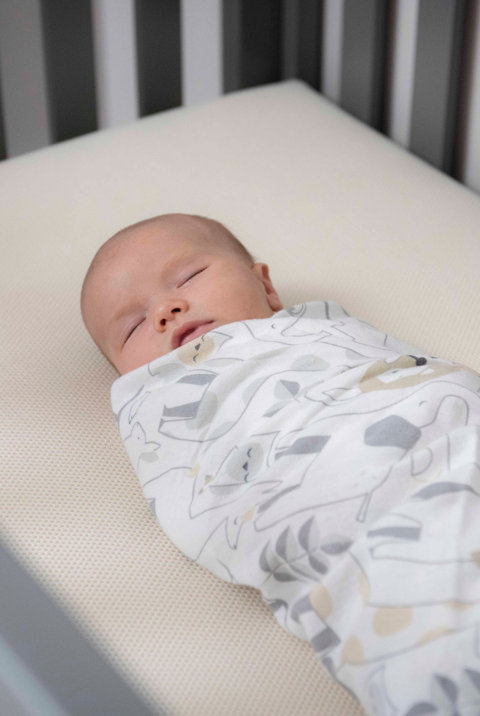 Crib Mattresses