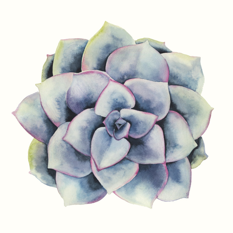 Tropical Plant V by Grace Popp - Wrapped Canvas Painting, 51cm H x 51cm W