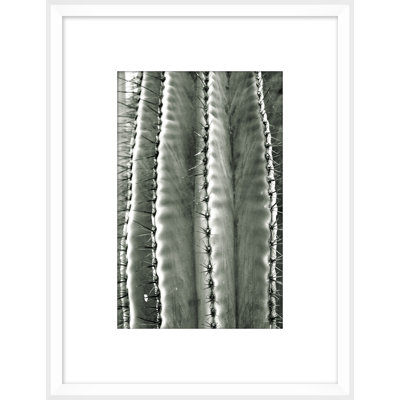 Silver Spike Small 1 Framed Photographic Print