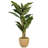 96'' Faux Banana Leaf Tree in Planter