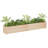 Wood Pot Planter-91895565-91895566