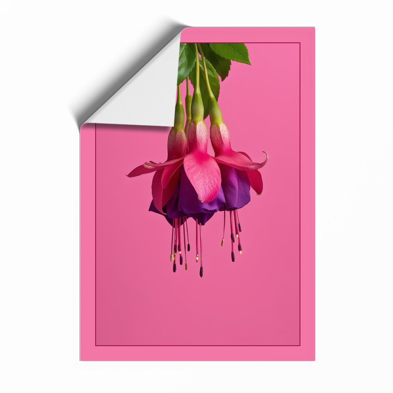 Fuchsia Blooms Botanical - Framed Print, A3 - 42.0 x 29.7 cm, Unframed