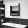 Sigismund 50cm x 60cm Surface Mount Mirror Cabinet with LED Lighting