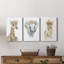 «Savannah Lion Cub», ensemble de 3 reproductions d'art sur toile tendue-2060439864