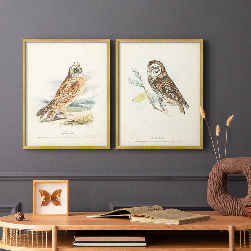 Hawk Owl - reproduction encadrée de qualité supérieure - prête à être accrochée - aucun clou requis - aucun clou requis, Doré