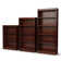Axess Bookcase