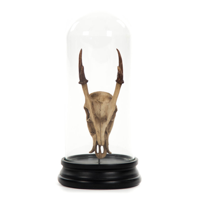 Deer Skull with Bel Glass Sculpture, 23" H x 5.5" W x 5.5" D