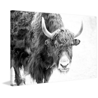 Buffalo Forward - Wrapped Canvas Painting