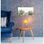 «Soft Succulents I» par Lori Deiter, art mural en verre acrylique-469403154