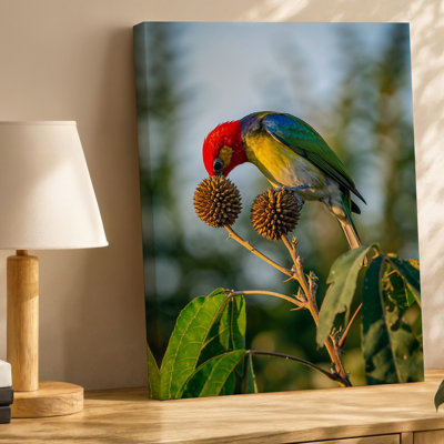 Toile d'un oiseau coloré vibrant avec une tête rouge frappante, art mural jaune et plumes bleues et accents verts perchés gracieusement sur une toile