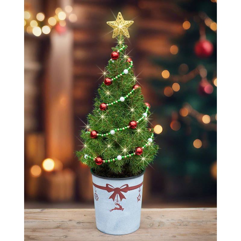 22" Starlight Table Top Christmas Tree