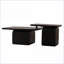 Ensemble de 2 tables basses noires rétro, grain de bois peu encombrant pour le salon, facile à nettoyer