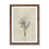 Walnut Framed is unavailable
