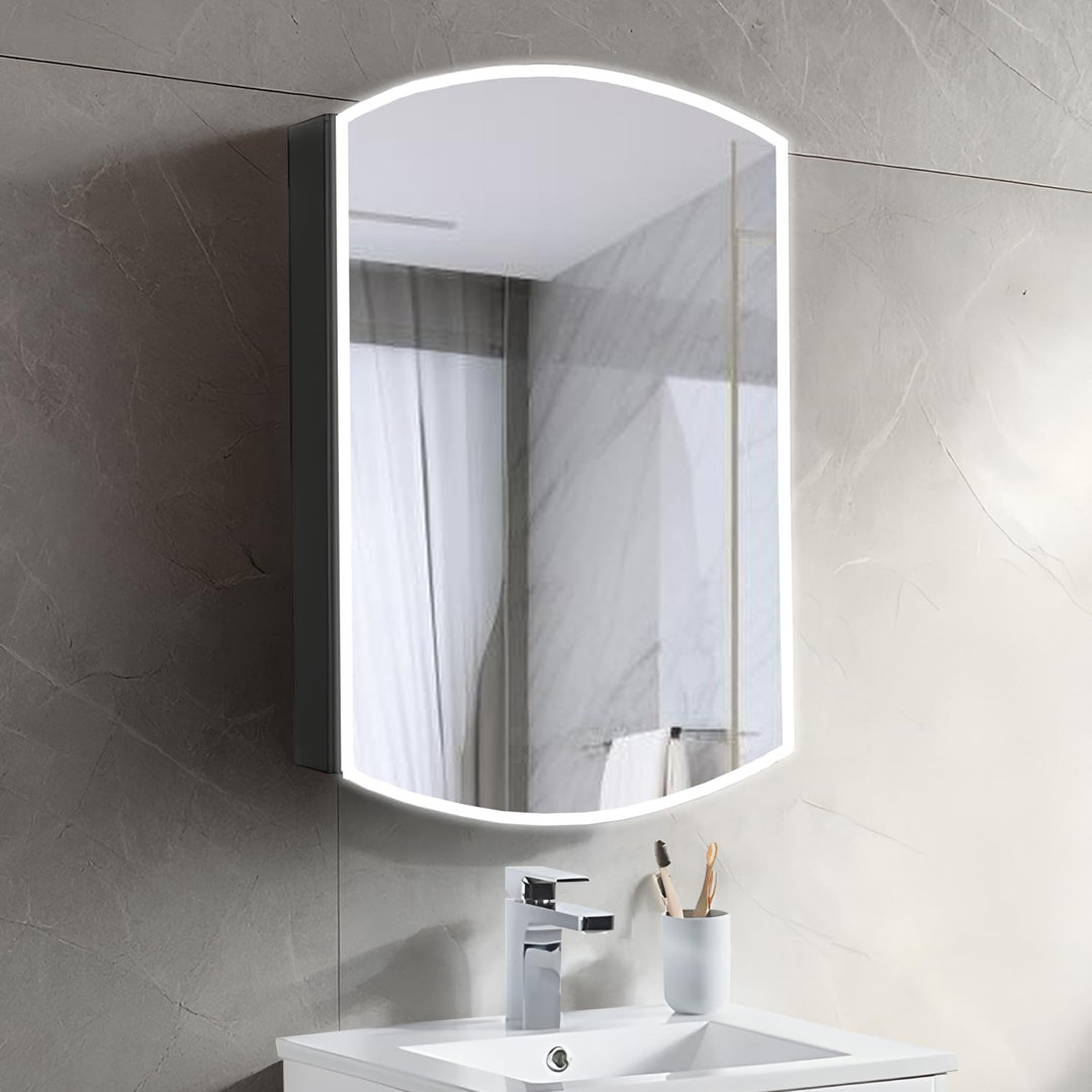 Abhirup 31'' H X 20'' W X 5'' D Surface Mount or Recessed Mount Medicine Cabinet, Adjustable Shelves Brayden Studio®