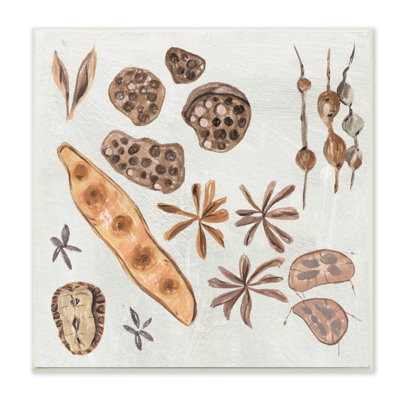Schéma de la nature des plantes brunes par Melissa Wang