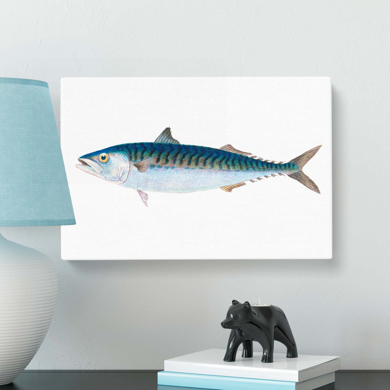 Mackerel Fish by Edward Donovan - Wrapped Canvas, 40cm H x 60cm W x 3cm D
