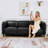 83.46" Wide Square Arm Sofa-1079720563