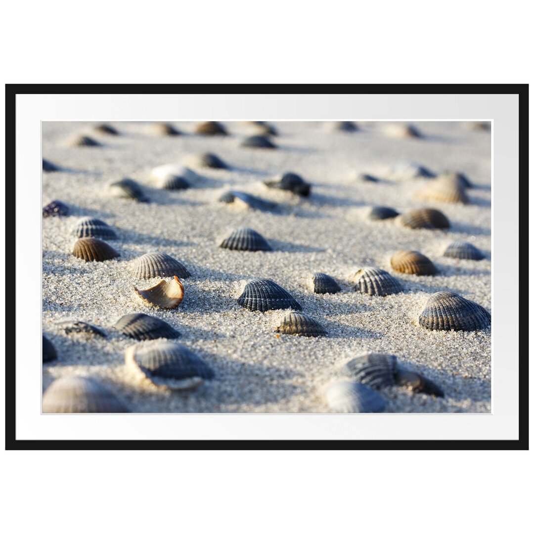 Muscheln im Sand Gerahmter fotografischer Kunstdruck