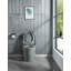 Soft-close Toilet Seat Only-115020716