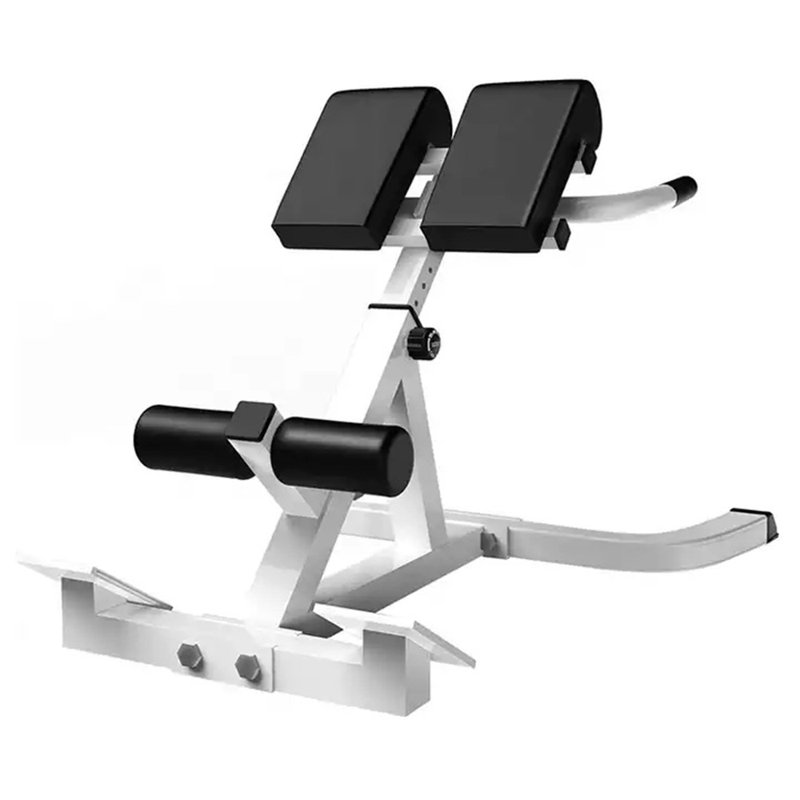 Adjustable Roman Chair Back Extension Bench