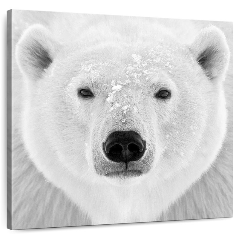 Brampt Polar Bear Face, 20" H x 20" W