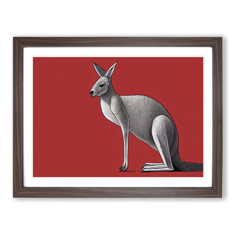 Kangaroo - Framed Print, 46cm H x 64cm W x 2cm D, Walnut