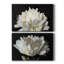 ALL AFLUTTER - ensemble de 2 reproductions-1778156551-1778156554-1778156557