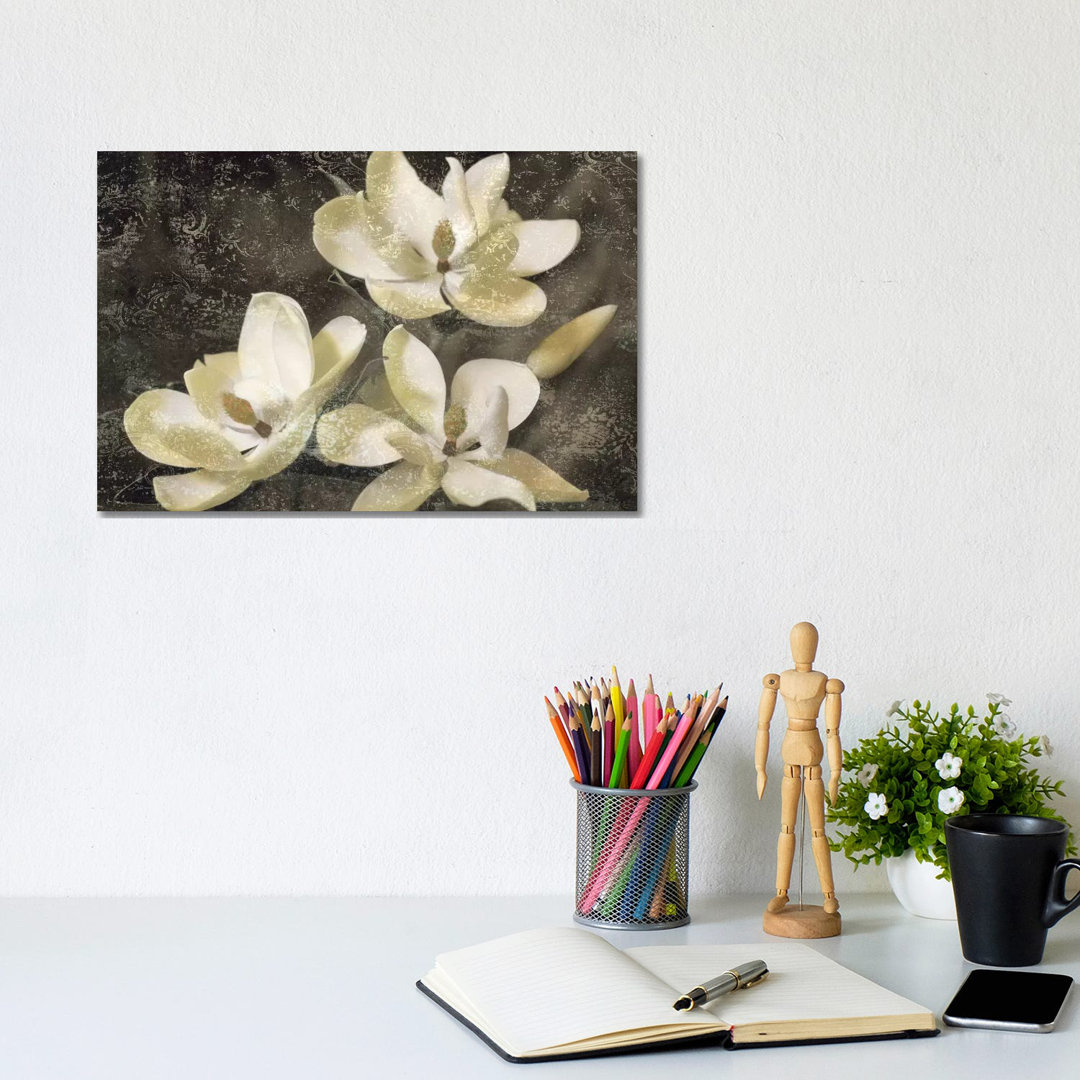 The Magnolia Tree by John Seba - Wrapped Canvas Print