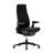 Fern Office Chair with Lumbar Support-72023973-91925234
