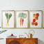 Organic Veg II - impression encadrée de qualité supérieure sur mesure mat - 3 pièces-504725491-504725494