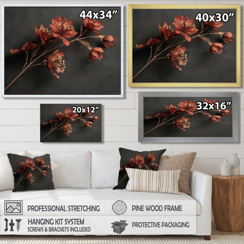 «Delicate Peruvian Lily - Lily, art mural, impression sur toile florale brune, H 12 po x l 20 po, Picture Framed Print, Noir