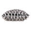 Jadis Square Pillow Cover & Insert-71504432