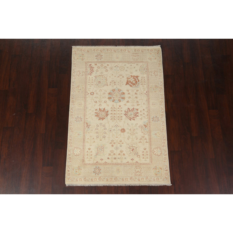 Tapis de couleur végétale Peshawar Chobi noué à la main 4 x 6