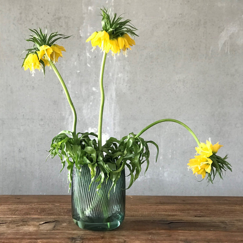 Vase en cristal sans plomb Opti, Vert, H 9,55 po x l 7 po x P 7,875 po