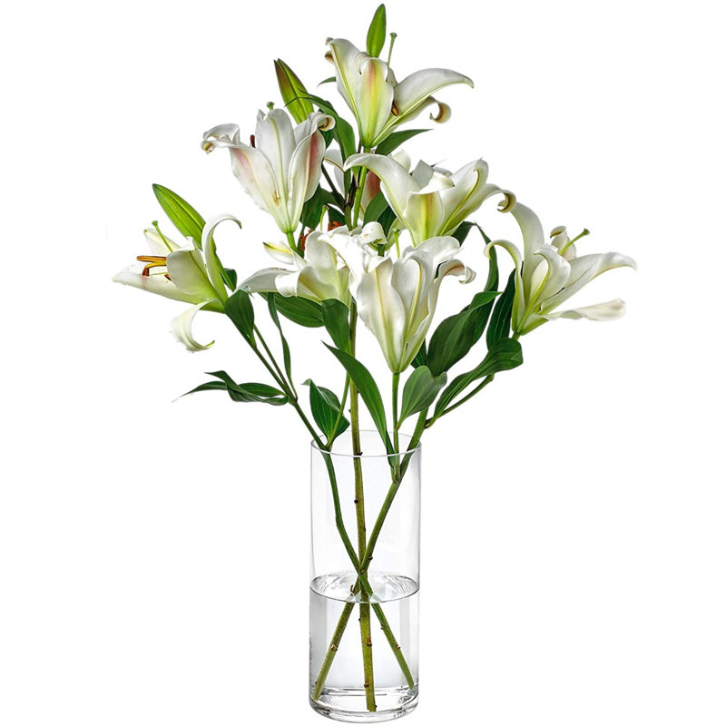 Ensemble 12 pièces transparent Jene, H 10 po x l 3,25 po x P 3,25 po