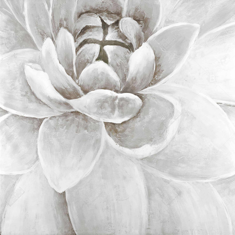 " Delicate White Chrysanthemum "