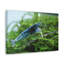 Art mural majestueux avec crevettes-722450730