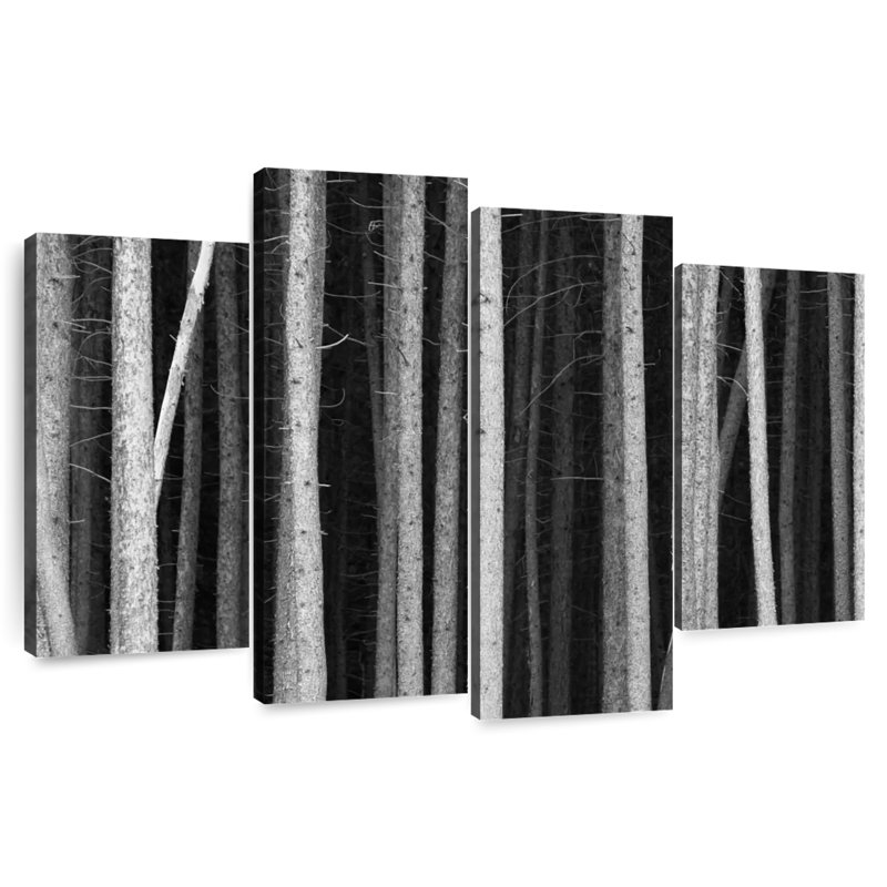 BW Pine Trees, H 32 po x l 52 po