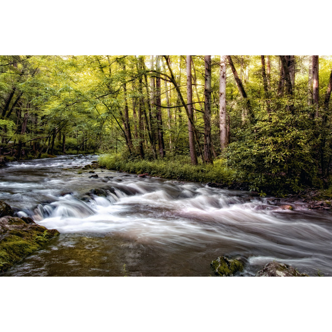 Leinwandbild Sunlight On Jakes Creek II